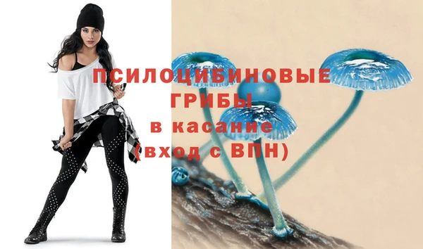 МДПВ Алексин