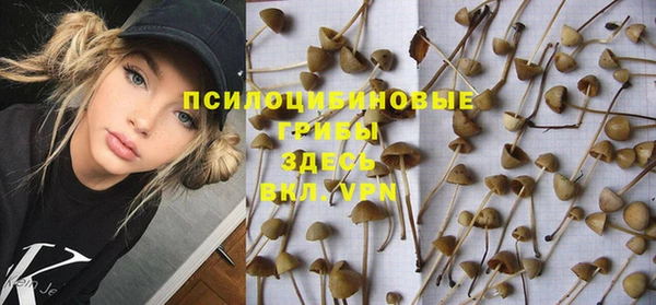 MESCALINE Алзамай