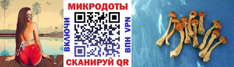 блэк спрут ONION где купить Задонск Псилоцибиновые грибы Psilocybe